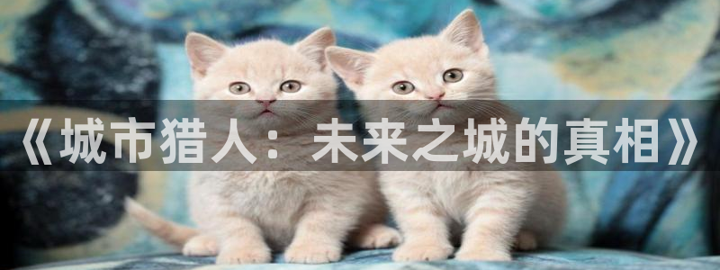 age动漫下载密码：《城市猎人：未来之城的真相》配图