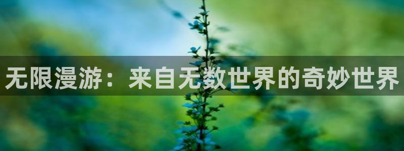 age动漫下载管理：无限漫游：来自无数世界的奇妙世界配图
