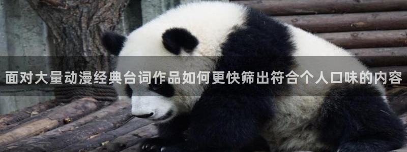 age动漫下载应用:面对大量动漫经典台词作品如何更快筛出符合个人口味的内容配图