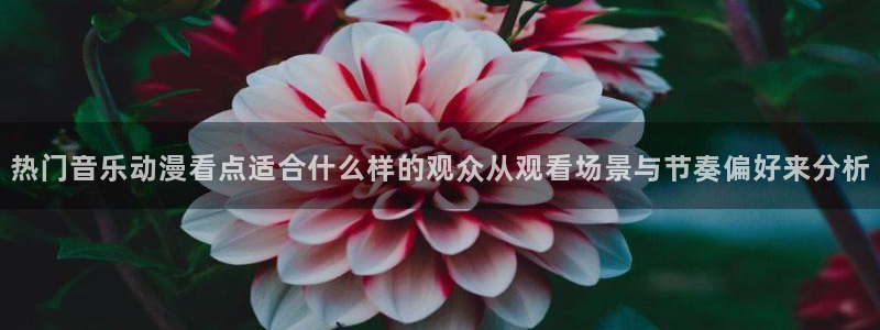 age动漫下载动漫：热门音乐动漫看点适合什么样的观众从观看场景与节奏偏好来分析配图