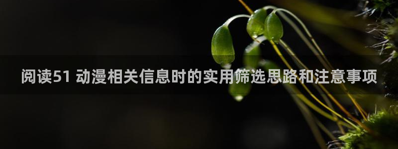 怎么下载age动漫:阅读51 动漫相关信息时的实用筛选思路和注意事项配图