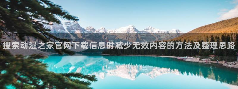 age动漫站下载：搜索动漫之家官网下载信息时减少无效内容的方法及整理思路配图