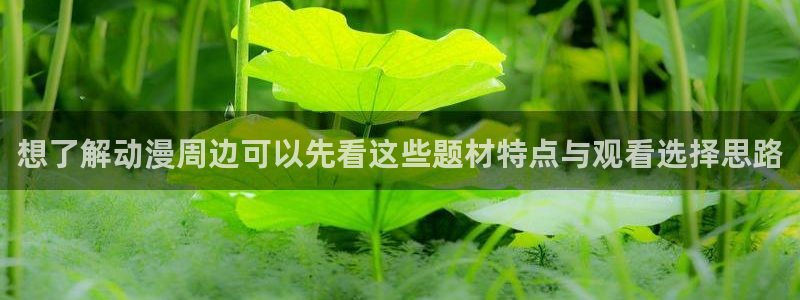 age动漫下载在哪:想了解动漫周边可以先看这些题材特点与观看选择思路配图